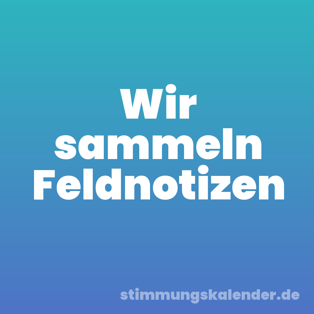 Wir sammeln Feldnotizen