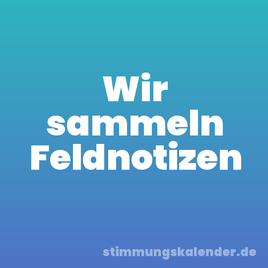 Wir sammeln Feldnotizen