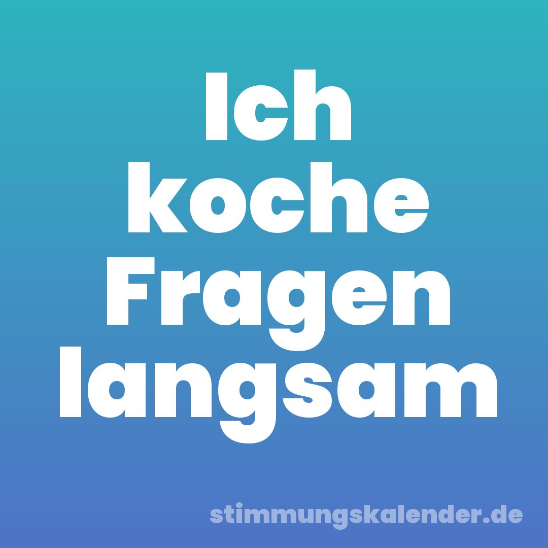 Ich koche Fragen langsam