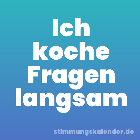 Ich koche Fragen langsam