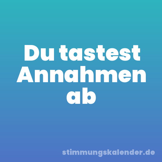 Du tastest Annahmen ab
