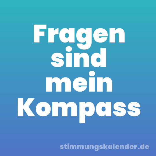 Fragen sind mein Kompass