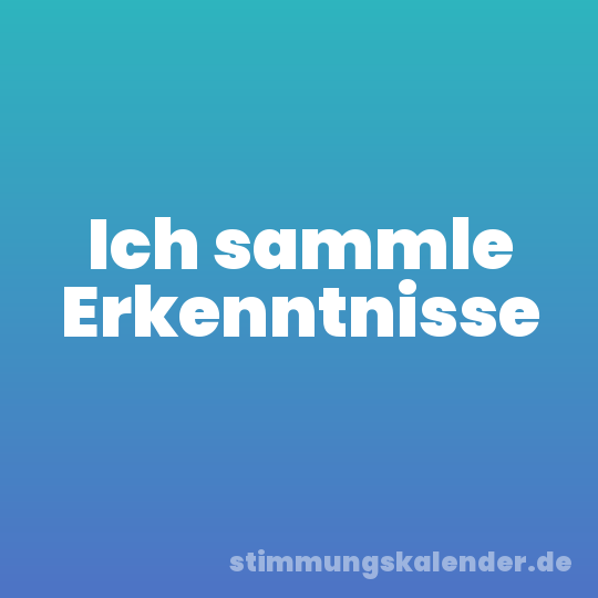Ich sammle Erkenntnisse