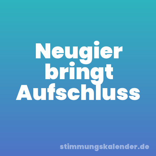 Neugier bringt Aufschluss