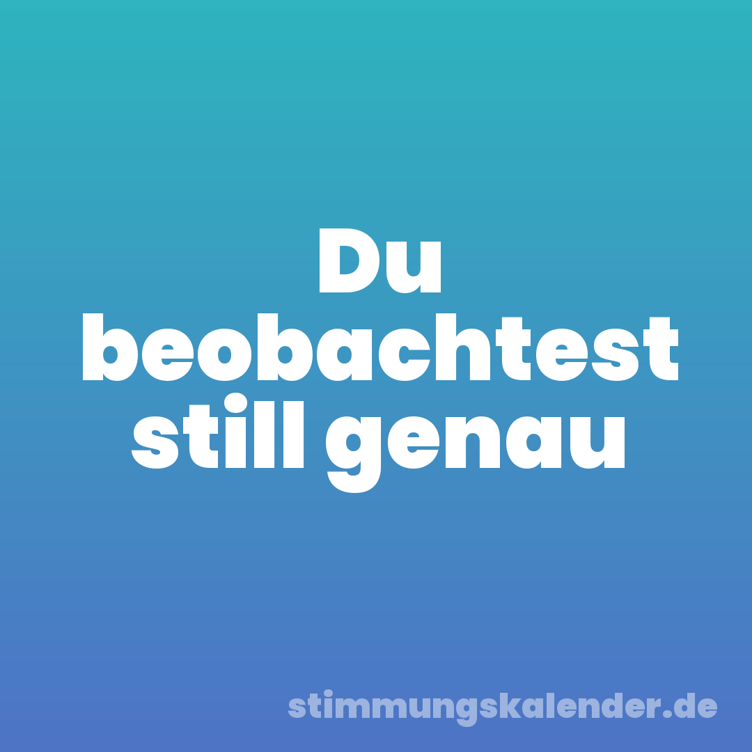 Du beobachtest still genau