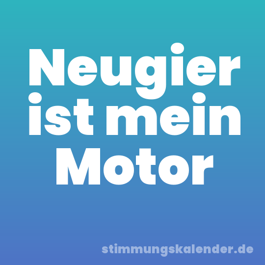 Neugier ist mein Motor