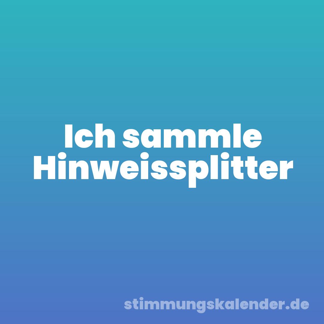 Ich sammle Hinweissplitter