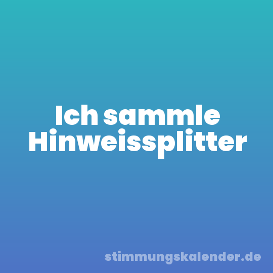 Ich sammle Hinweissplitter