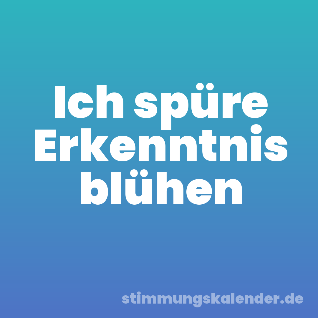 Ich spüre Erkenntnis blühen