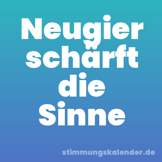 Neugier schärft die Sinne