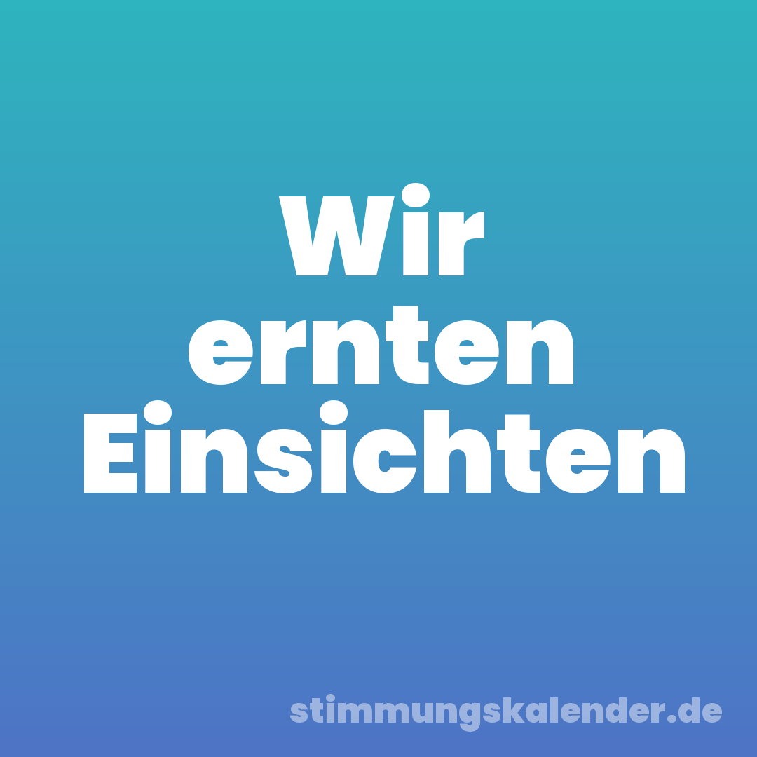 Wir ernten Einsichten