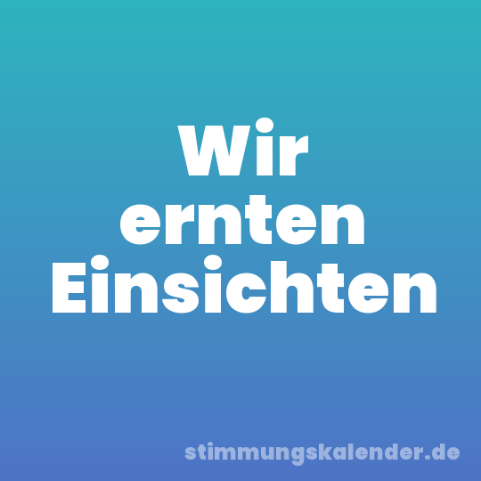 Wir ernten Einsichten