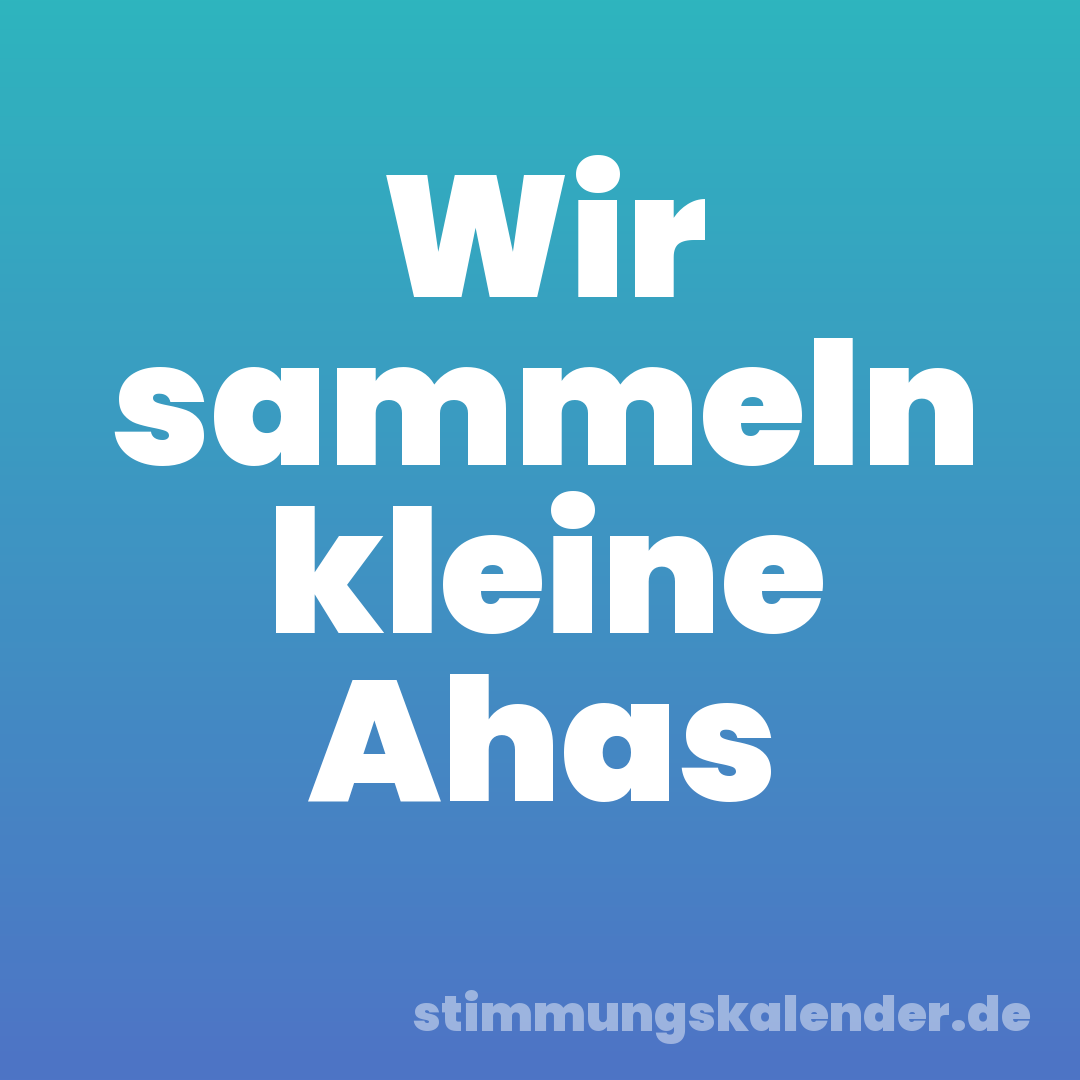 Wir sammeln kleine Ahas