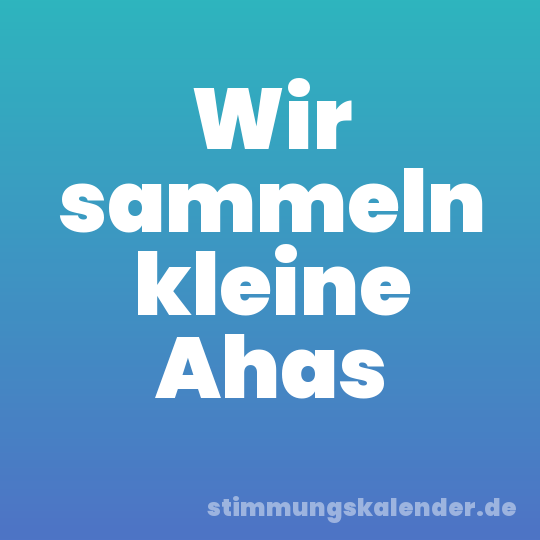 Wir sammeln kleine Ahas