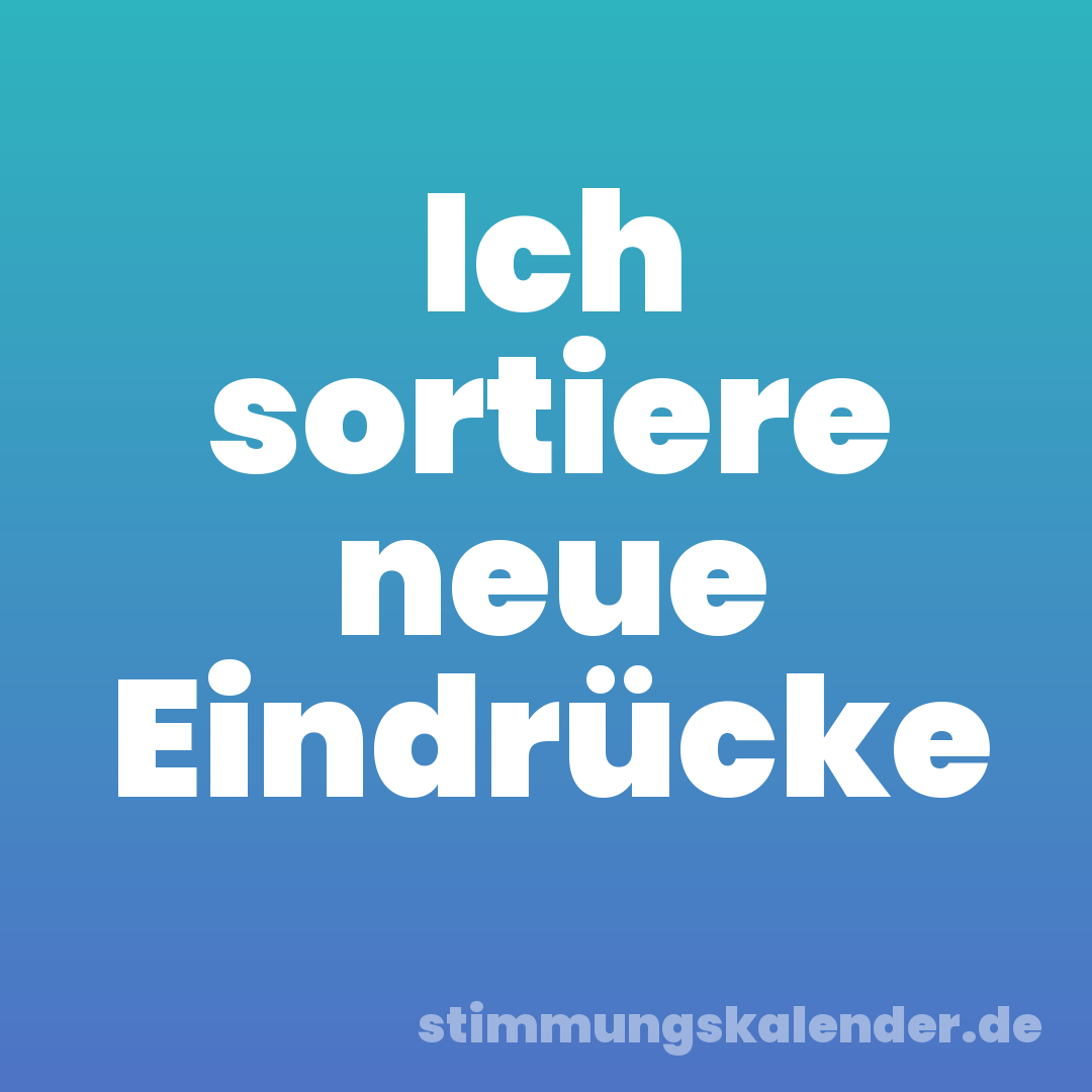 Ich sortiere neue Eindrücke