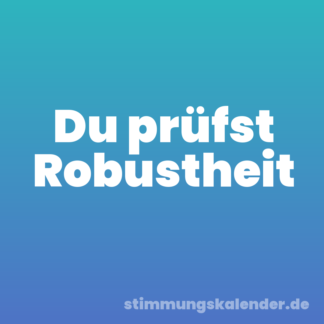 Du prüfst Robustheit