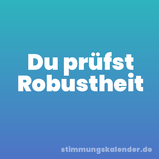 Du prüfst Robustheit