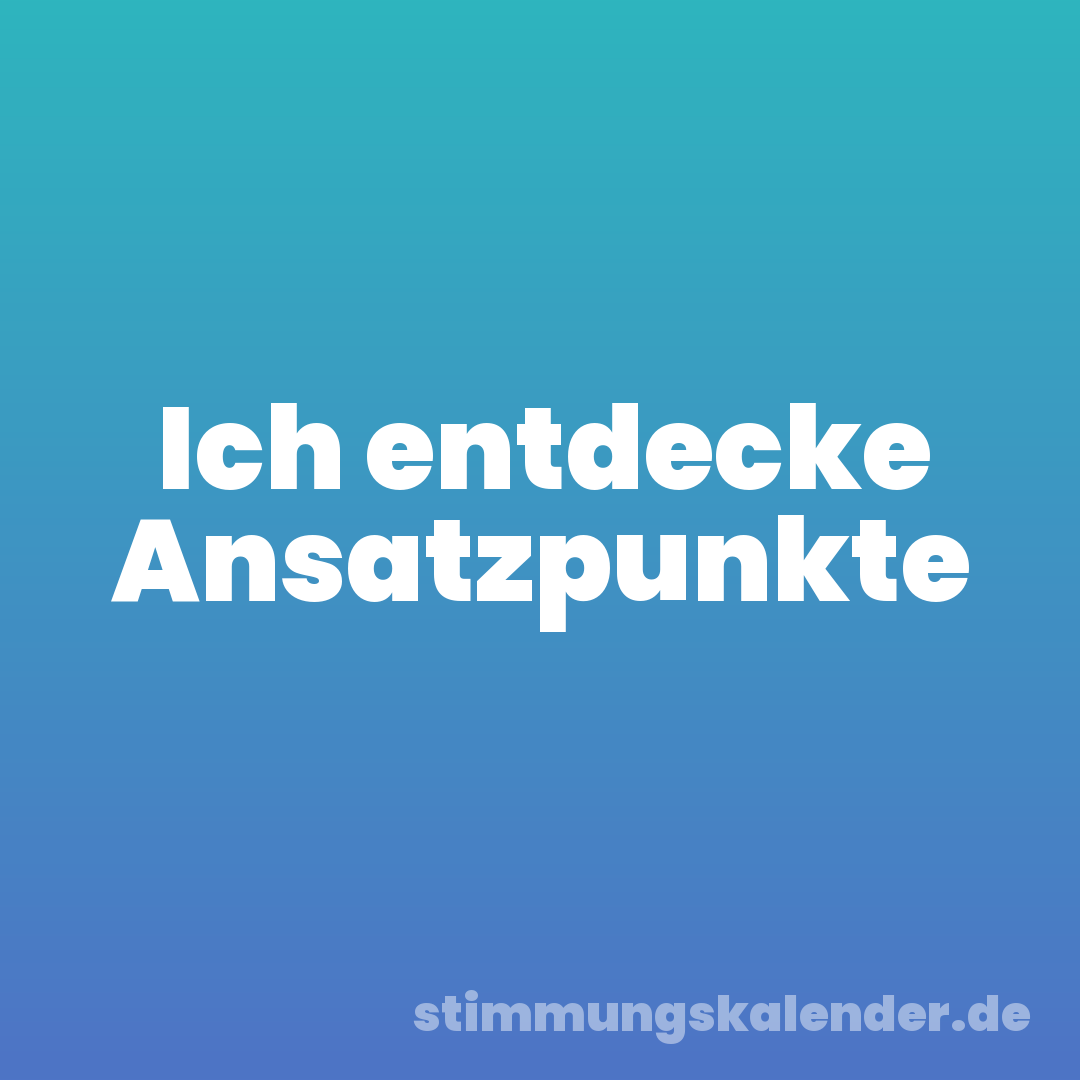 Ich entdecke Ansatzpunkte