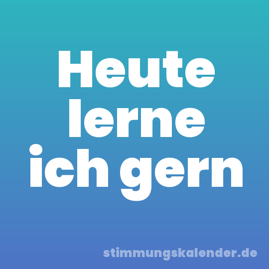 Heute lerne ich gern