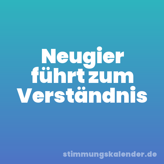 Neugier führt zum Verständnis
