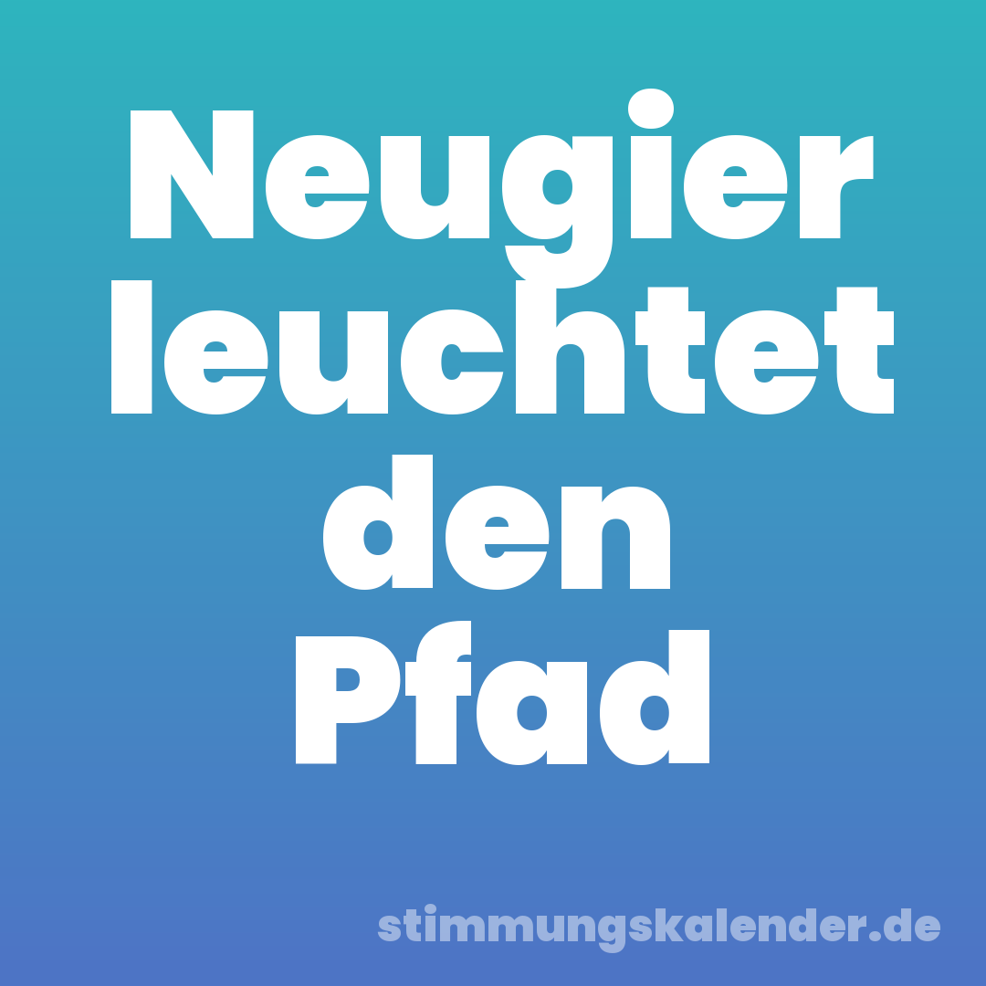 Neugier leuchtet den Pfad