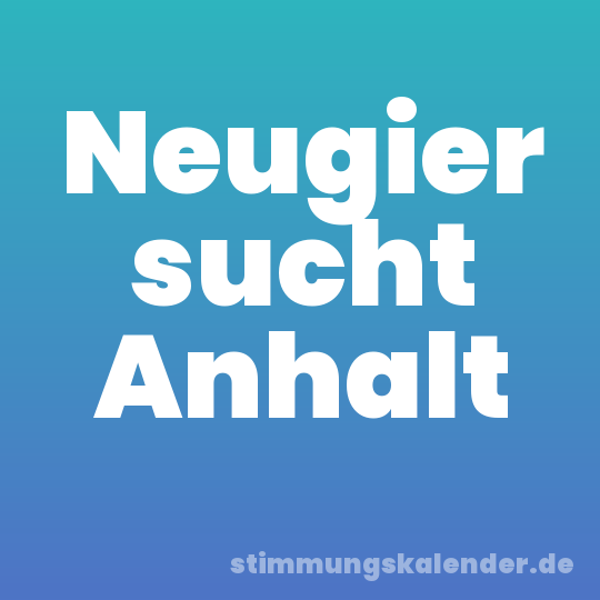 Neugier sucht Anhalt