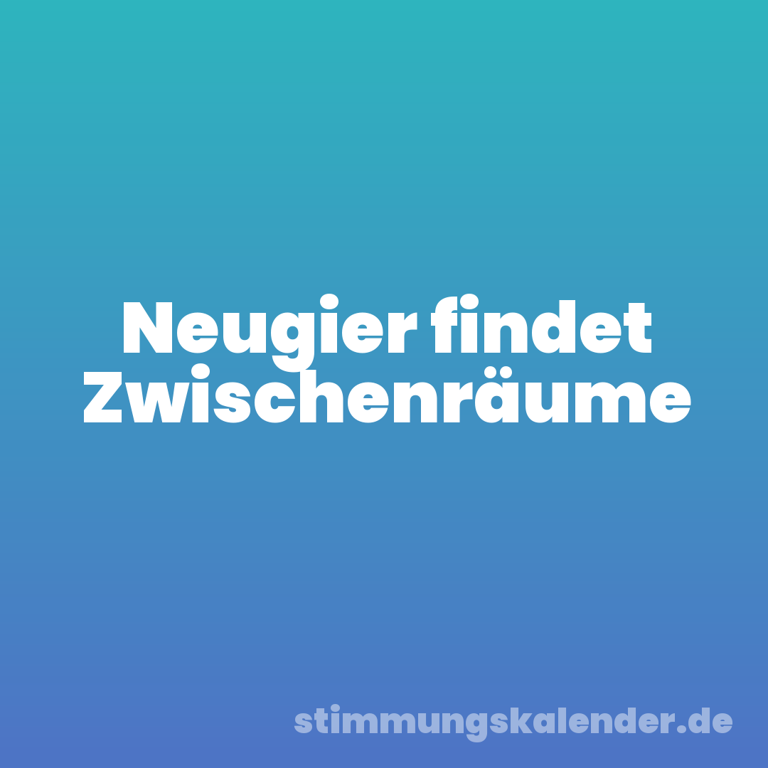 Neugier findet Zwischenräume