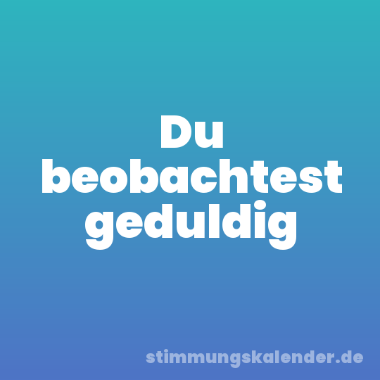 Du beobachtest geduldig
