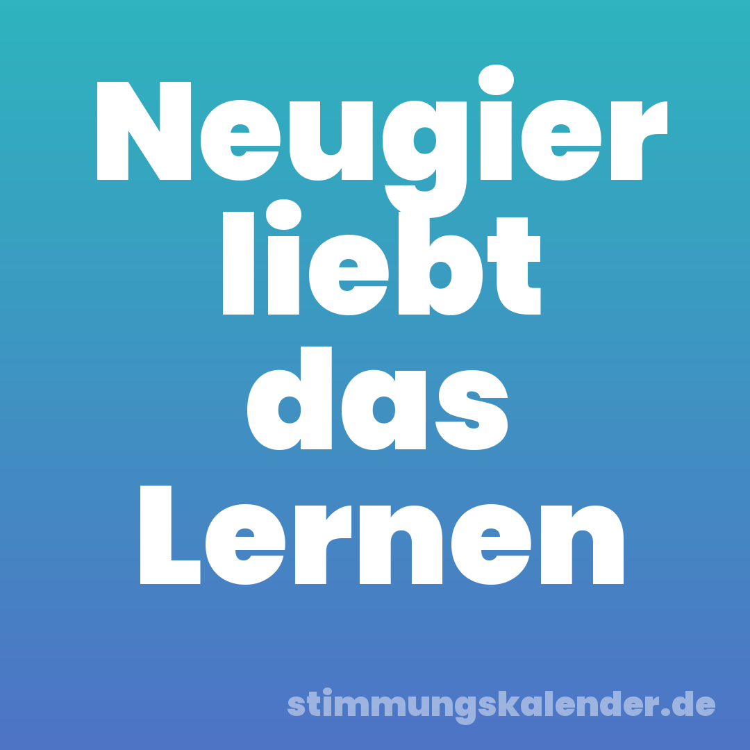 Neugier liebt das Lernen