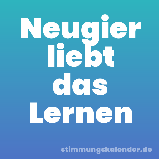 Neugier liebt das Lernen