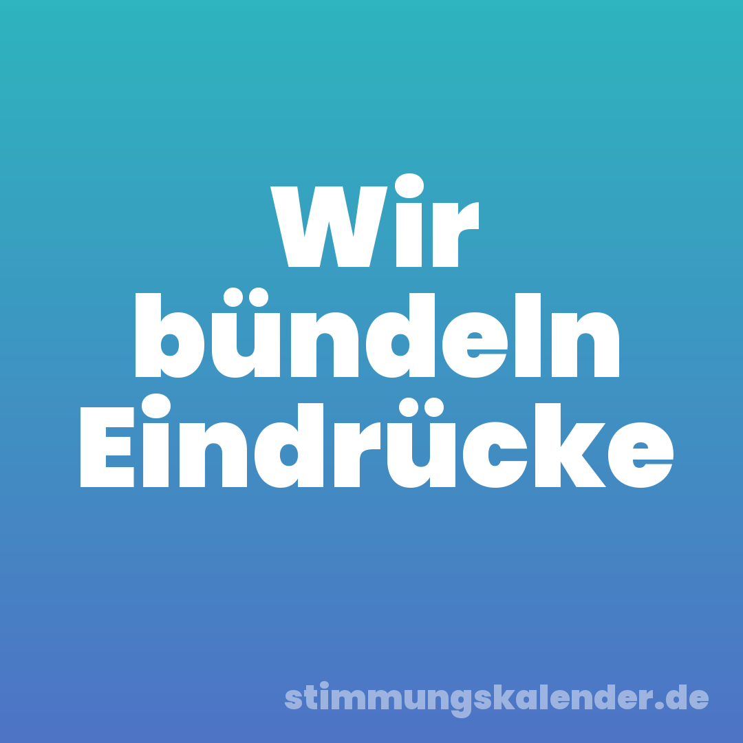 Wir bündeln Eindrücke