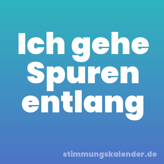 Ich gehe Spuren entlang