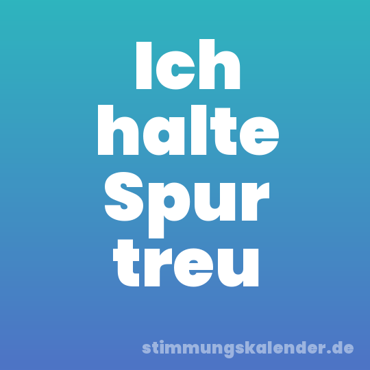 Ich halte Spur treu