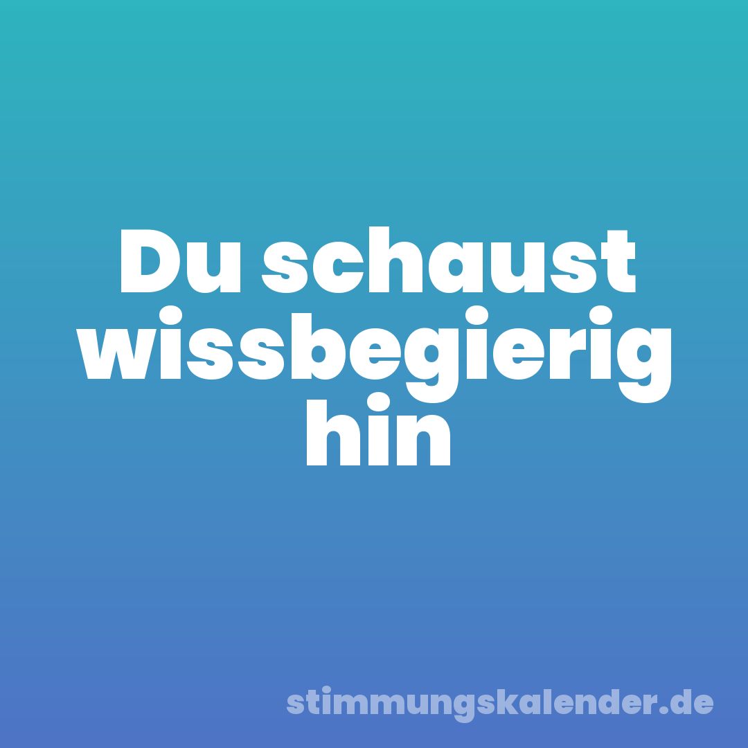 Du schaust wissbegierig hin