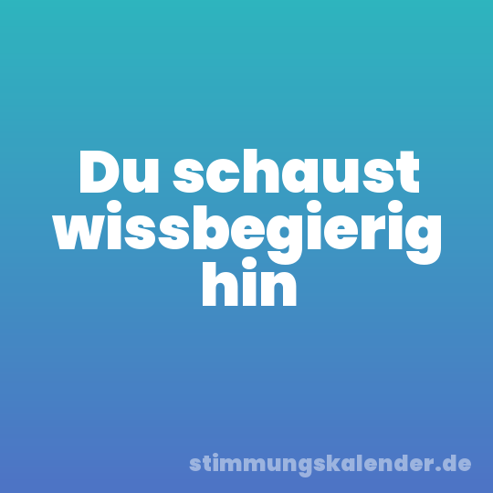Du schaust wissbegierig hin