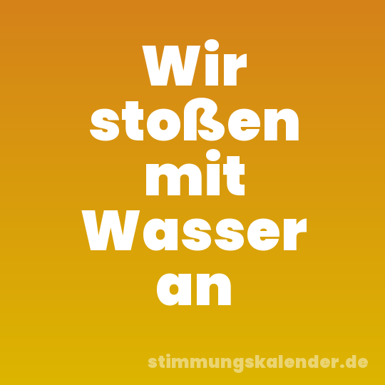 Wir stoßen mit Wasser an