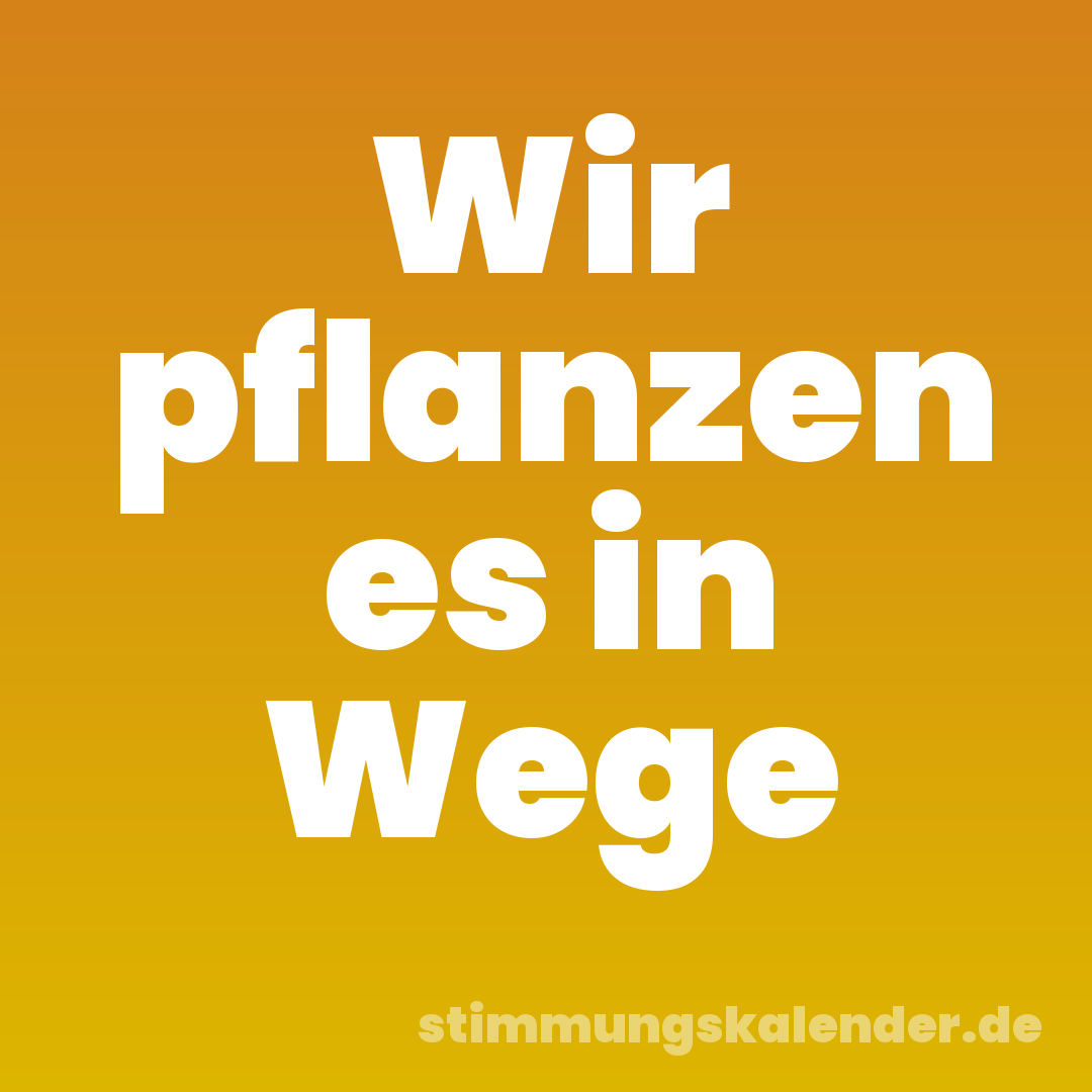 Wir pflanzen es in Wege
