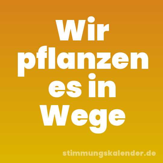 Wir pflanzen es in Wege
