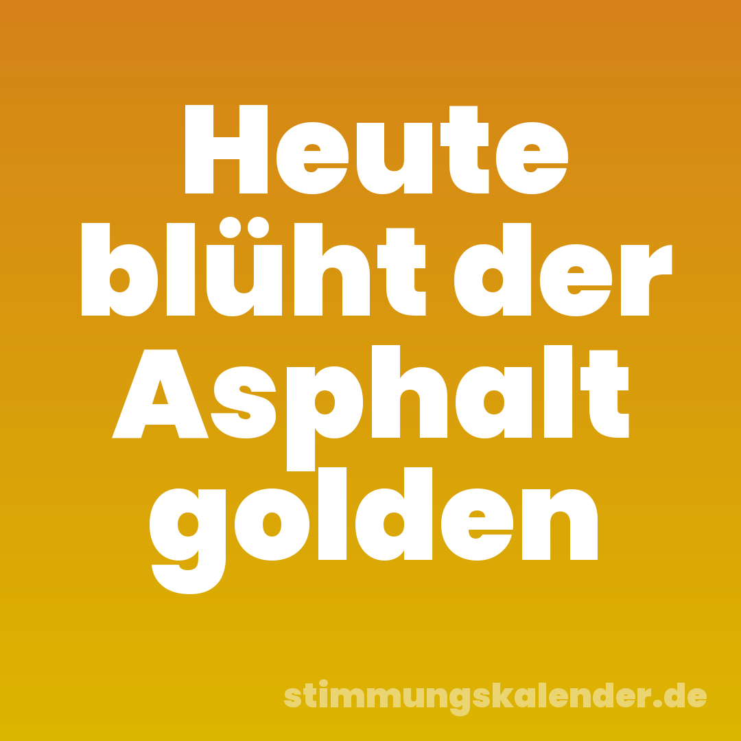 Heute blüht der Asphalt golden