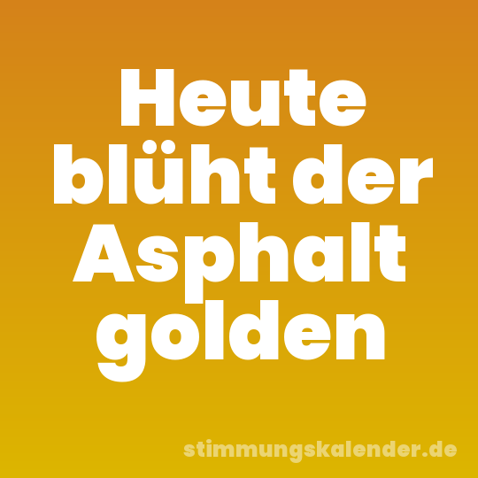 Heute blüht der Asphalt golden