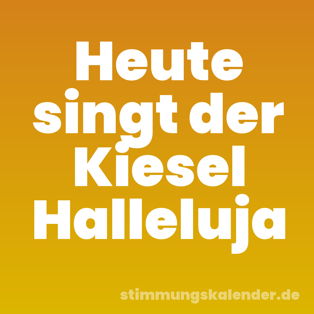 Heute singt der Kiesel Halleluja