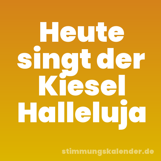 Heute singt der Kiesel Halleluja