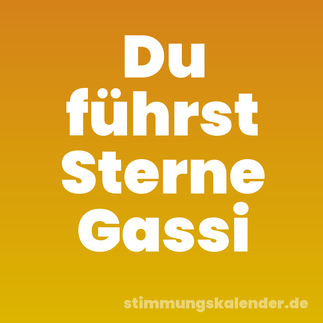 Du führst Sterne Gassi
