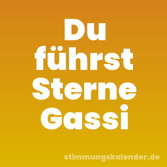 Du führst Sterne Gassi