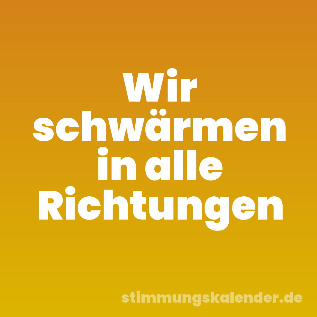 Wir schwärmen in alle Richtungen
