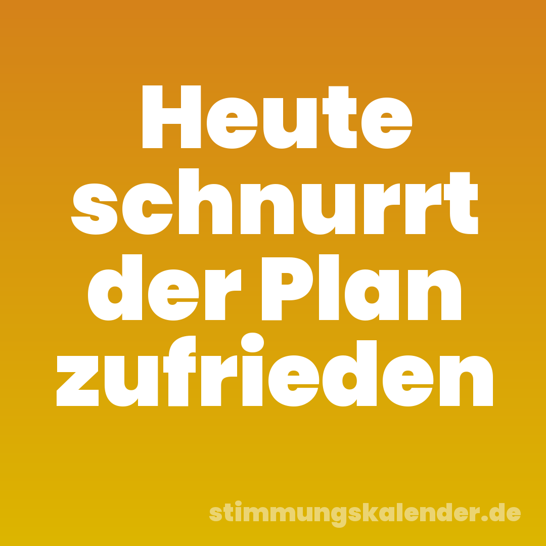 Heute schnurrt der Plan zufrieden
