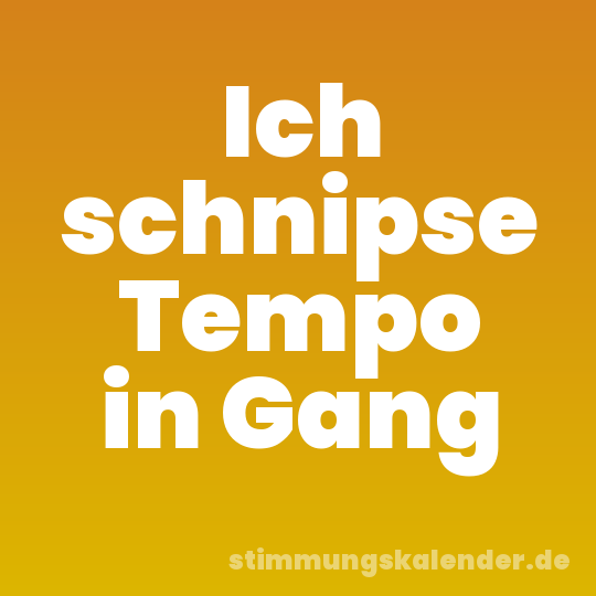 Ich schnipse Tempo in Gang