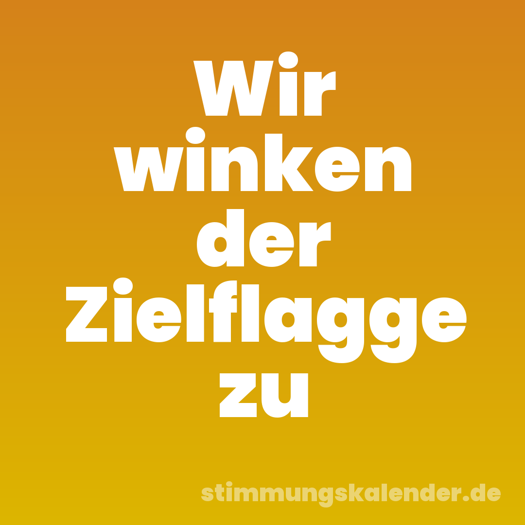 Wir winken der Zielflagge zu