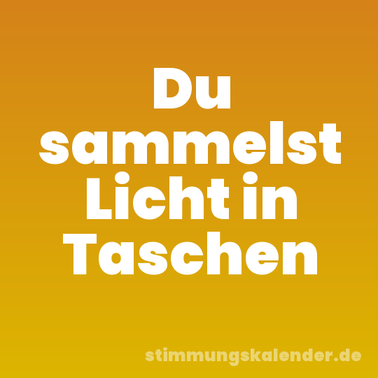Du sammelst Licht in Taschen