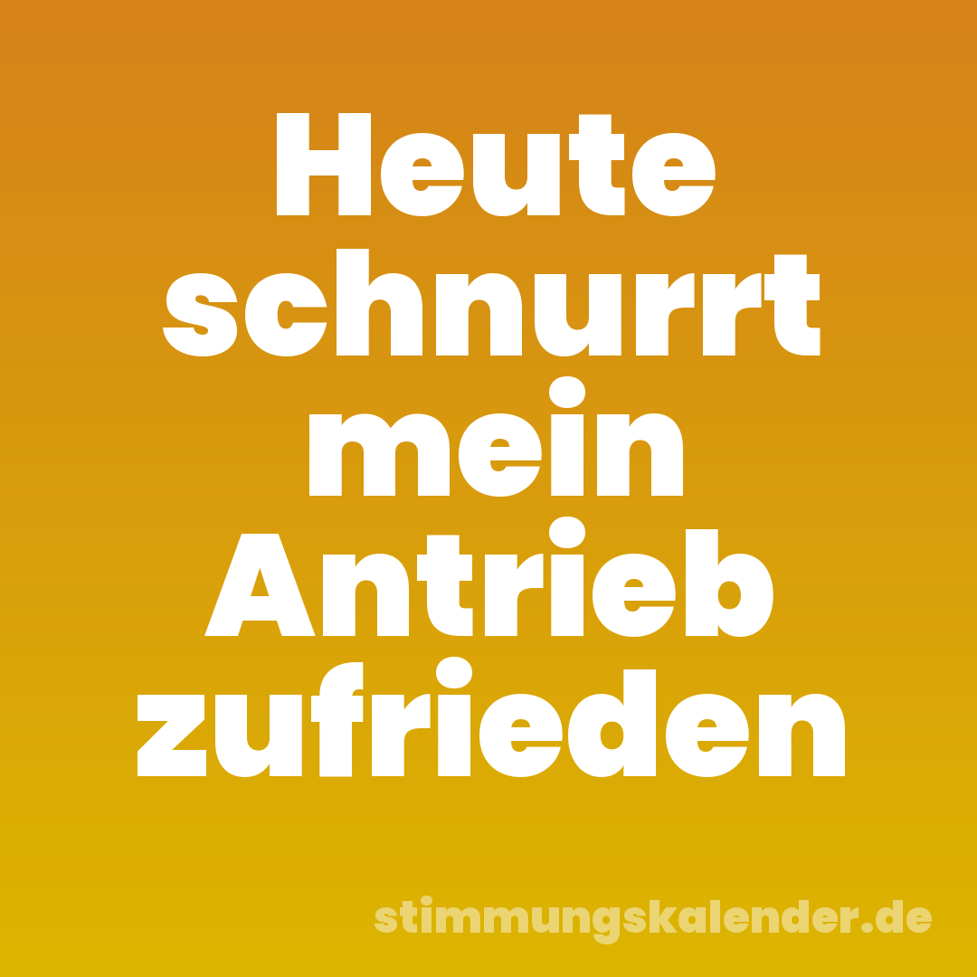 Heute schnurrt mein Antrieb zufrieden